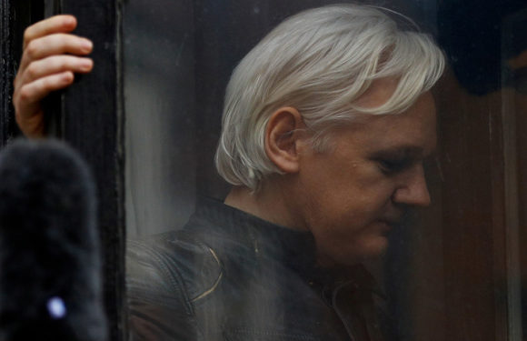 Corte británica declara culpable a Assange de evadir la Justicia luego de que el activista afirmara su inocencia