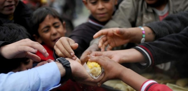 ONU pide acciones urgentes para frenar el alza del hambre y la obesidad