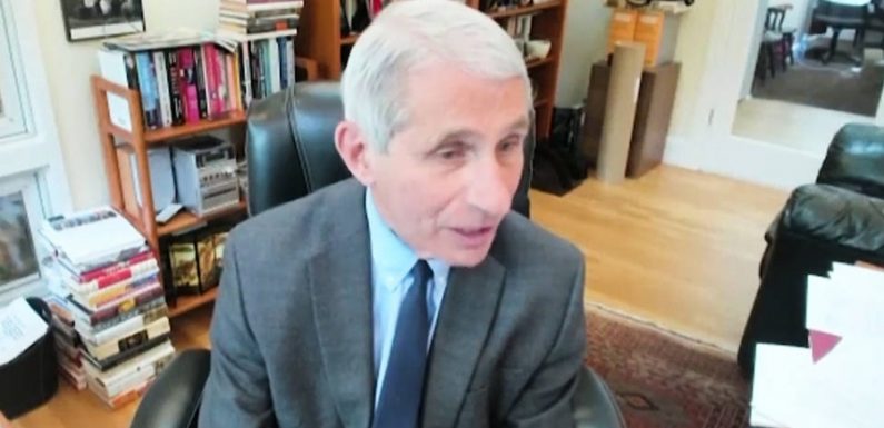 El doctor Anthony Fauci advierte a los senadores de EE.UU. que reactivar el país demasiado pronto causará “sufrimiento y muerte”