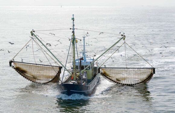 Se reactiva la pesca de arrastre en Costa Rica