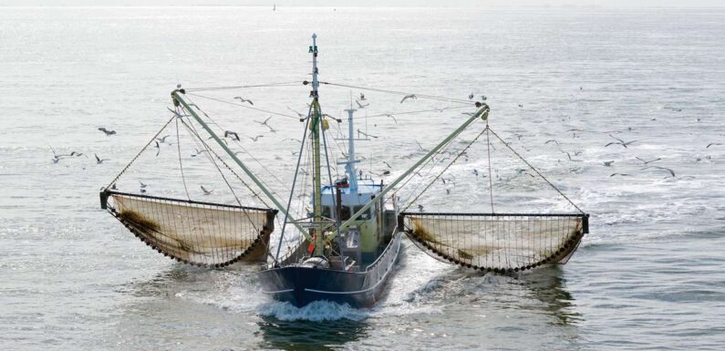 Se reactiva la pesca de arrastre en Costa Rica