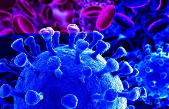 Coronavirus en Argentina. El Gobierno confirmó siete muertos más y ya son 772 las víctimas en el país