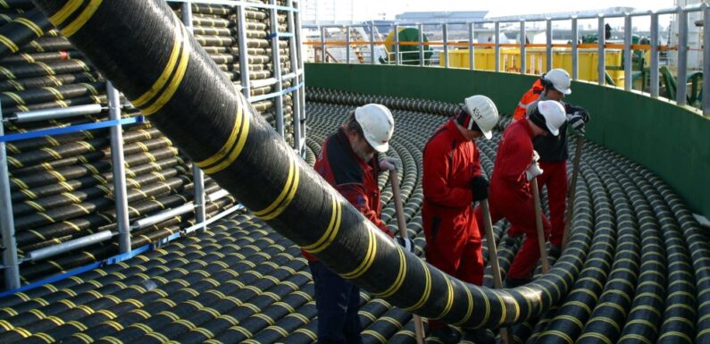 ¿Qué se sabe del nuevo cable submarino del Pacífico Sur?