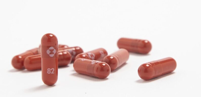 Nuevo medicamento contra el Covid-19 podría ser la clave para aliviar la situación sanitaria