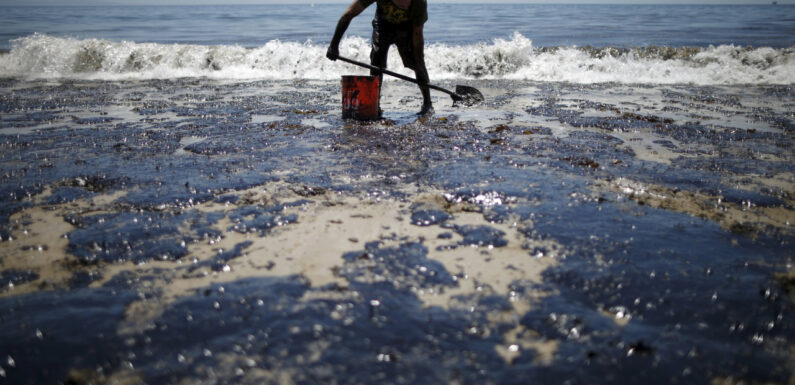 Gran fuga de petróleo en la costa de California provoca la muerte de varios animales y una desnivelada contaminación en el océano