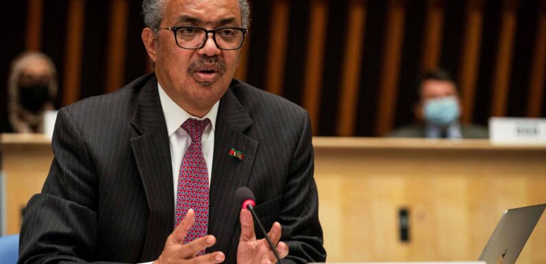 Director de la OMS: ‘El acceso a abortos seguros salva vidas’