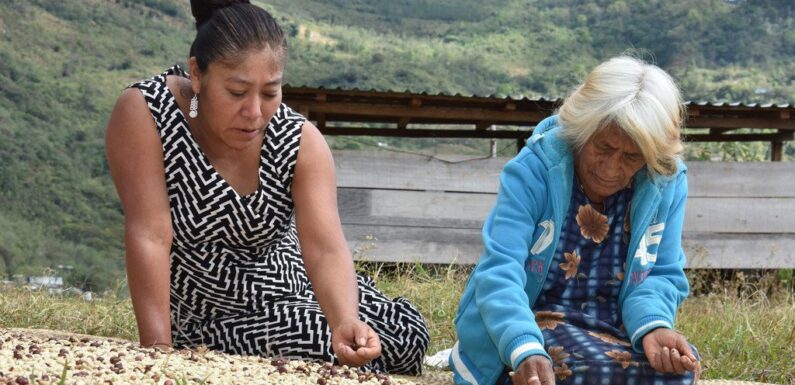 Un tercio de América Latina vive en la pobreza