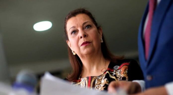 Embajadora designada por Guaidó en Brasil confirma el cese de sus funciones