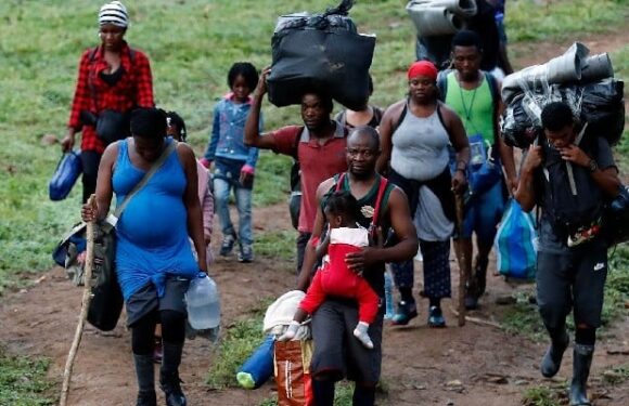 Unos 36 migrantes murieron en 2022 al intentar cruzar la selva del Darién