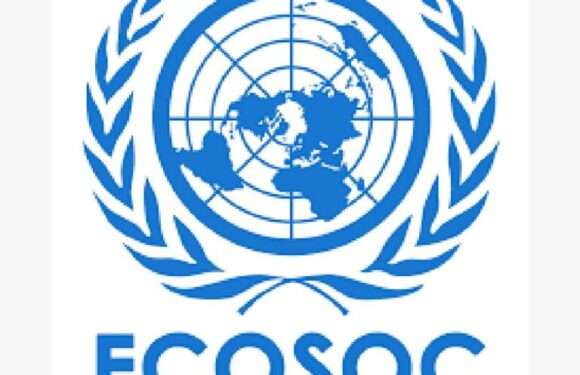 Costa Rica participa en sesiones de Ecosoc