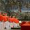 CARDENALES VATICANO