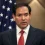 RUBIO UNO SER ESTADO